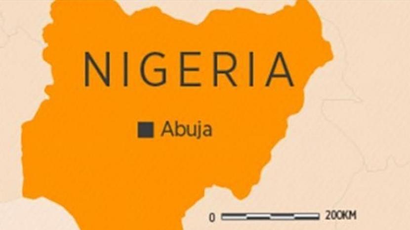Sedikitnya 220 orang tewas dalam serangan terhadap warga di negara bagian Niger Nigeria sejak awal tahun ini.