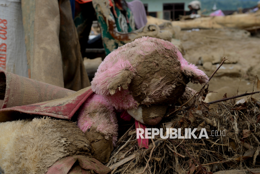 INDEF Desak Pemerintah Segera Tetapkan Status Bencana Nasional