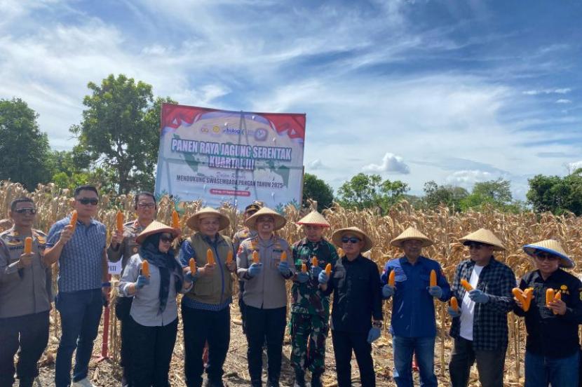Sidrap dukung ketahanan pangan nasional lewat panen raya jagung.