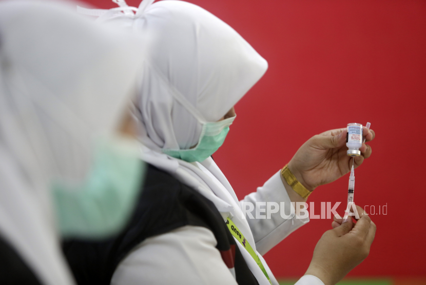 Pemkab Batang Usulkan 2.880 Ibu Hamil Dapat Vaksinasi (ilustrasi).