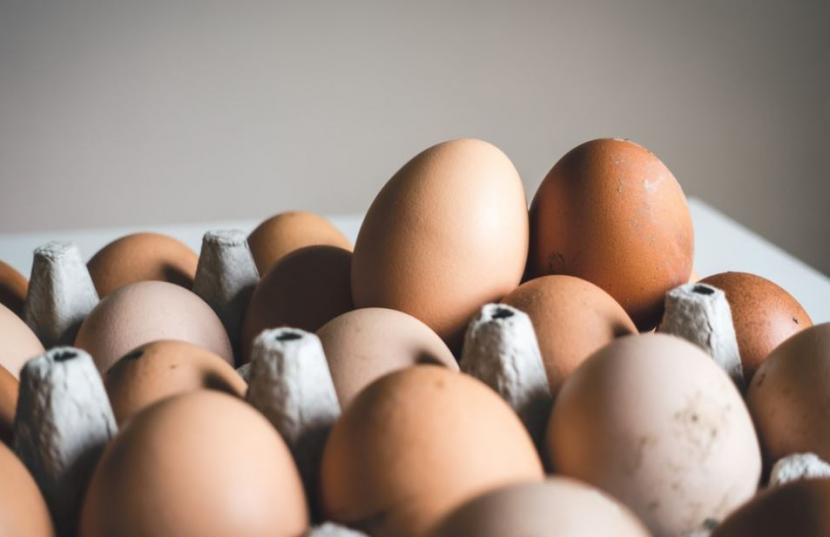 Cara Pemotongan Ayam serta Telur dari Ayam yang Mati - Suara Muhammadiyah