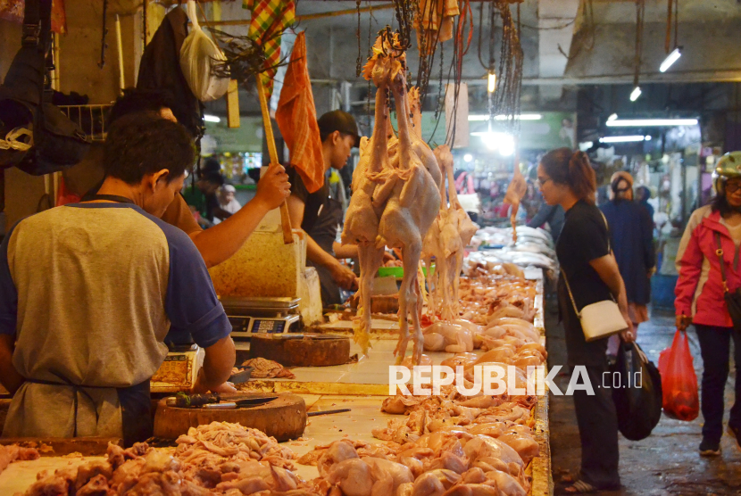 Pedagang daging ayam melayani pembeli, (ilustrasi)