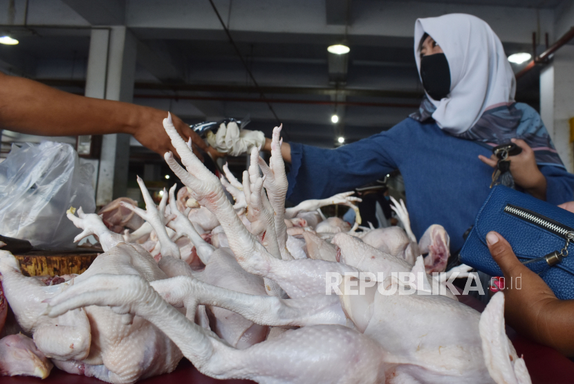 Penjual ayam potong melayani pembeli (ilustrasi). Harga ayam potong (ayam ras) naik terus di pasar Medan dan sudah menembus Rp 34 ribu per kg dari sempat anjlok hanya Rp 17 ribu per kg.