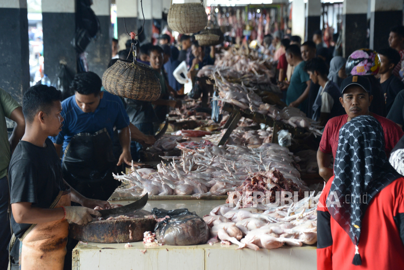 Calon pembeli memilih ayam potong yang dijual pedagang di Pasar Al Mahirah, Banda Aceh, Aceh, Selasa (27/6/2023).