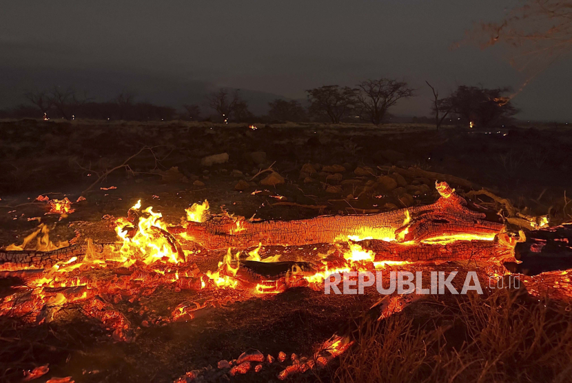 Para turis dinilai tak memiliki empati dan kepedulian dengan kondisi kebakaran yang melanda Hawaii