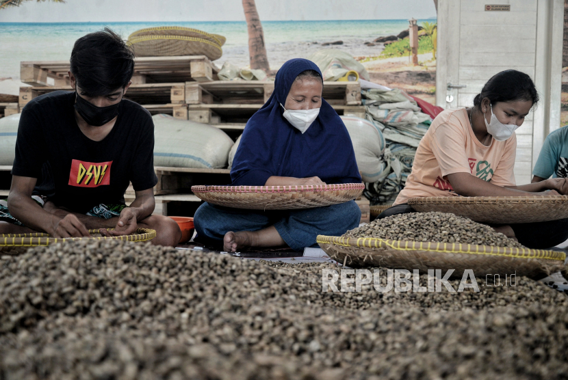 Pekerja menyortir biji kopi sebelum Pelepasan Ekspor Perdana Produk Halal Kopi Robusta ke Oman di Kopi Merah Putih, Jakarta, Jumat (21/1/2022). Komite Ekspor Halal Pengrus Pusat MES bekerja sama dengan PT. Geber Ekspor Indonesia dan didukung Bank Indonesia meluncurkan Ekspor Perdana Produk Halal Kopi dengan tujuan negara Oman sebanyak 36 ton kopi robusta senilai 1,6 miliar yang akan berjalan selama satu tahun dengan nilai kontrak sebesar 1,7 juta USD. Data Ekspor Produk Halal Indonesia tidak Valid