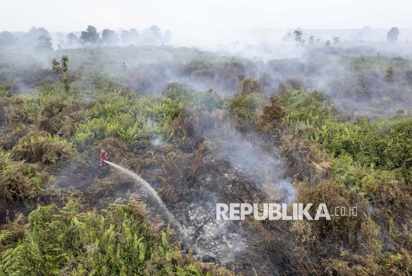 Petugas Manggala Agni Daops Kota Jambi memadamkan api kebakaran hutan dan lahan (karhutla) di lahan gambut Desa Gambut Jaya, Muaro Jambi, Jambi, Rabu (23/7/2025). 