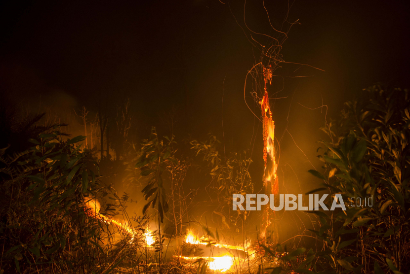 Api menyala di kawasan hutan lindung PT Chevron Pacific Indonesia yang berbatasan dengan lahan masyarakat di Kecamatan Rumbai Pesisir, Kota Pekanbaru, Senin malam (1/3/2021). Pemerintah Provinsi Riau sudah menetapkan status Siaga Darurat Kebakaran Hutan dan Lahan (Karhutla) sejak 15 Februari hingga 31 Oktober 2021, karena potensi kebakaran sangat tinggi akibat Riau mengalami musim kemarau panjang.