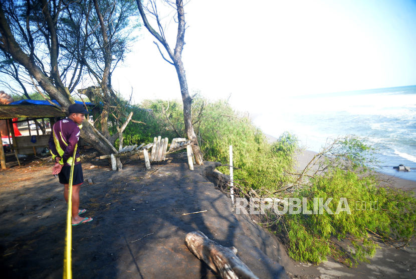 Pengunjung melihat pohon cemara udang yang ambruk karena abrasi di Pantai Trisik, Kulonprogo, DI Yogyakarta.
