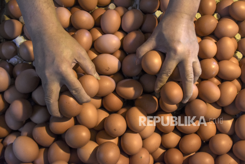 Pedagang menata telur ayam di kiosnya di Pasar Kosambi, Bandung, Jawa Barat, Selasa (19/12/2023). Harga sejumlah bahan pokok menjelang Natal dan Tahun Baru 2024 (Nataru) di pasar tersebut masih stabil dan stok bahan pangan mencukupi hingga akhir tahun. Saat ini harga daging ayam mencapai Rp38 ribu per kilogram, Cabai Rp100 ribu per kilogram, Beras Rp12 ribu hingga Rp15 ribu per kilogram dan telur ayam Rp28 ribu per kilogram.