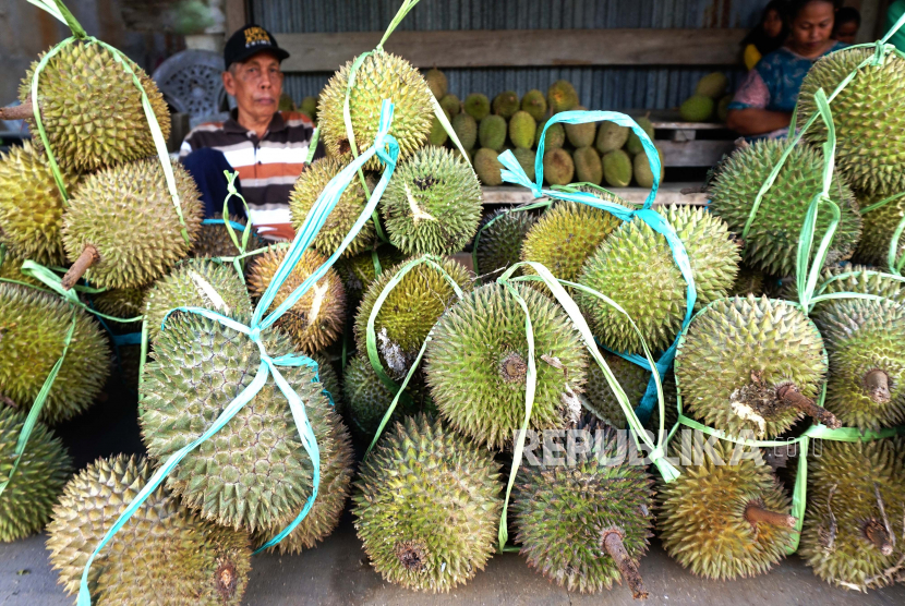 Sejak awal tahun ini produksi kripik biji durian marak di Siak, Riau.