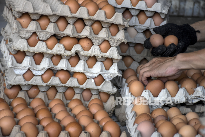 Pekerja menata telur ayam di salah satu sentra penjualan telur ayam di Jalan Ibrahim Adjie, Batununggal, Kota Bandung, Jawa Barat, Kamis (25/5/2023). Berdasarkan keterangan pedagang, harga telur ayam mengalami kenaikan menjadi Rp32 ribu dari yang semula Rp27 ribu. Kenaikan harga tersebut salah satunya disebabkan oleh harga pakan ayam yang meningkat.