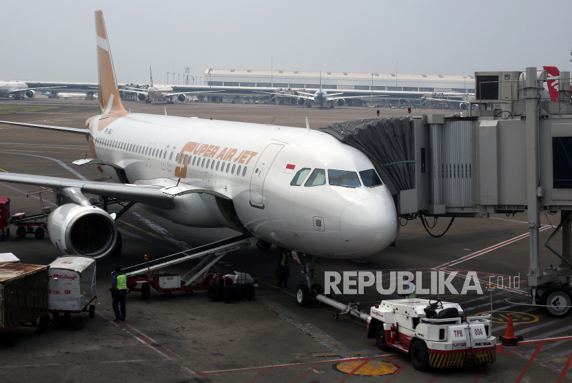 Pesawat terparkir di Bandar Udara Internasional Hang Nadim di Kota Batam, Provinsi Kepulauan Riau (ilustrasi). Pengelola bandara tersebut menyiapkan tempat parkir untuk pesawat pengangkut jamaah calon haji pada musim haji tahun 2023/1444 Hijriah. 
