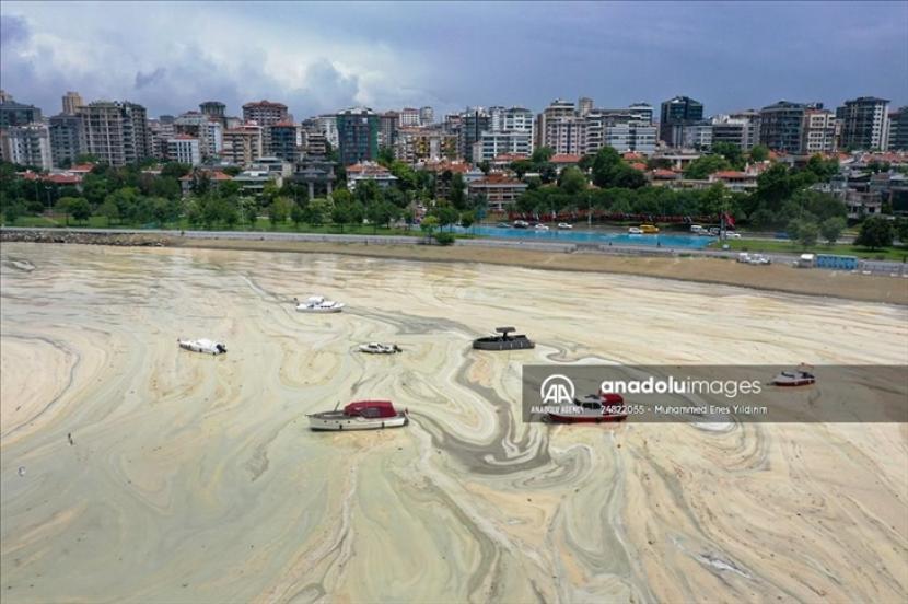 - Menurut Menteri Urbanisasi dan Lingkungan Turki, masalah lendir dapat diselesaikan jika tingkat nitrogen laut berkurang 40 persen - Anadolu Agency