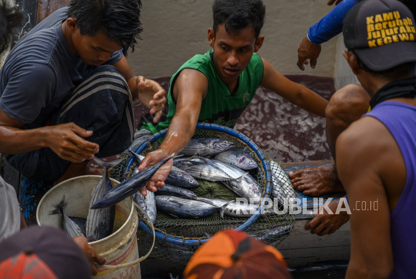 Nelayan diminta tidak melaut karena diperkirakan akan ada gelombang tinggi (Foto: ilustrasi nelayan)