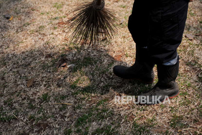 Petugas membersihkan area Taman Langsat, Jakarta Selatan, Senin (11/9/2023). Menurut petugas, kondisi Taman Langsat mengalami kekeringan usai dilanda musim kemarau sejak dua bulan yang lalu. Hal tersebut mengakibatkan danau buatan di taman tersebut surut, serta kondisi rumput yang kering.