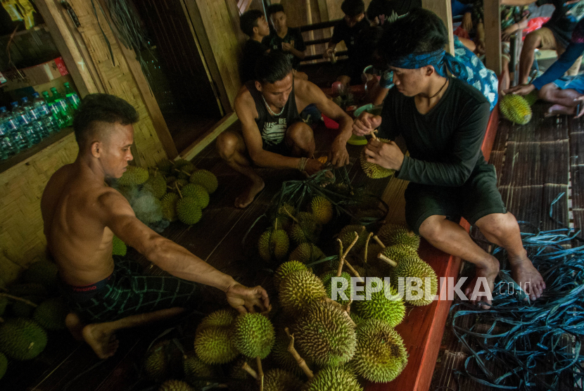 Warga Suku Baduy Luar memilah buah durian yang akan dijualnya di Desa Kenekes, Lebak, Banten, Rabu (20/1/2021). 