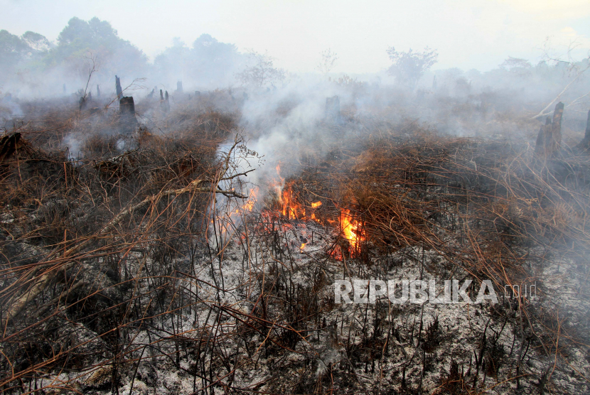 Lahan gambut seluas 2,1 hektare di Desa Peunaga Cut Ujong, Kecamatan Meureubo, Kabupaten Aceh Barat hingga Rabu (10/6) malam hangus terbakar (Foto: ilustrasi kebakaran lahan gambut)