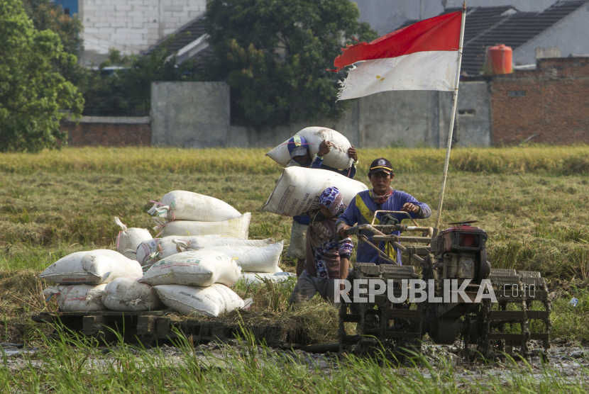 25 petani asal Lebak, Banten, akan magang di Jepang selama tiga tahun (Foto: ilustrasi)