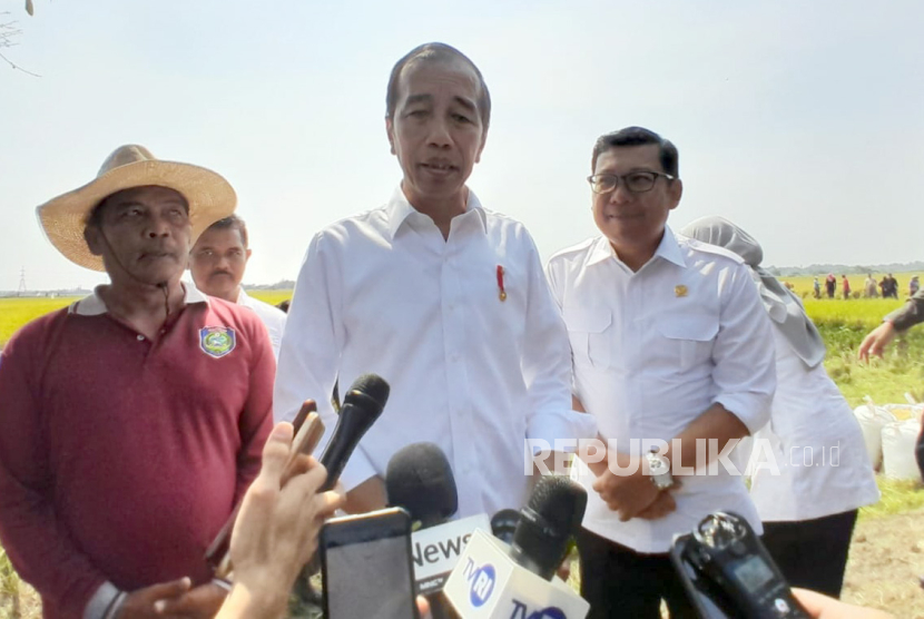 Presiden Jokowi saat mengikuti panen raya di Kabupaten Indramayu, Jawa Barat, Jumat (13/10/2023).