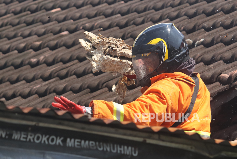 Petugas pemadam kebakaran membawa sarang tawon vespa saat evakuasi di rumah warga (ilustrasi). 