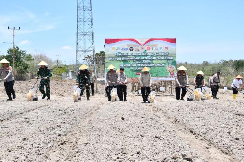 Polda NTT Tanam Jagung di 1.111 Hektare untuk Dukung Ketahanan Pangan