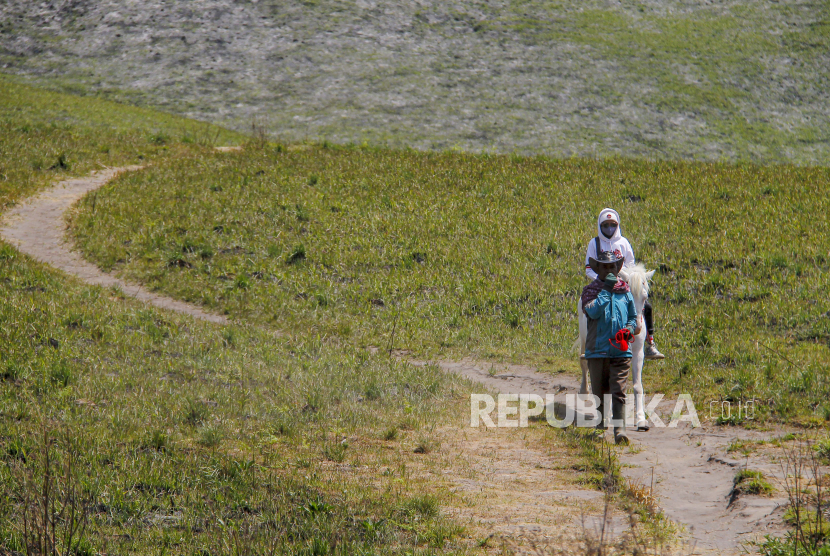 Pengunjung menaiki kuda di Kawasan Gunung Bromo, Probolinggo, Jawa Timur, Senin (16/10/2023). Kawasan tersebut mulai ditumbuhi vegetasi sehingga tampak hijau setelah terbakar pada Rabu (6/9) dan padam pada Kamis (14/9). 