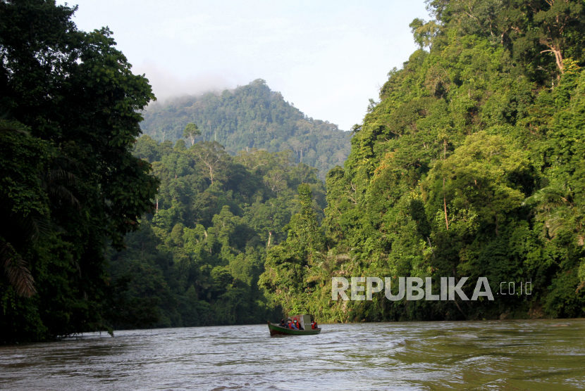 Petugas membawa Harimau Sumatra liar yang diberi nama IDA dengan menggunakan perahu untuk proses pelepasliaran di kawasan Taman Nasional Gunung Leuser (TNGL) yang berdampingan dengan Kawasan Ekosistem Leuser, Provinsi Aceh.