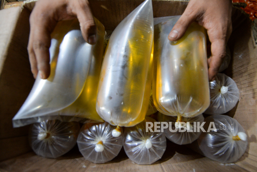 Ilustrasi minyak goreng. Pemerintah Kota Cirebon, Jawa Barat, membatalkan rencana operasi pasar murah untuk minyak goreng.