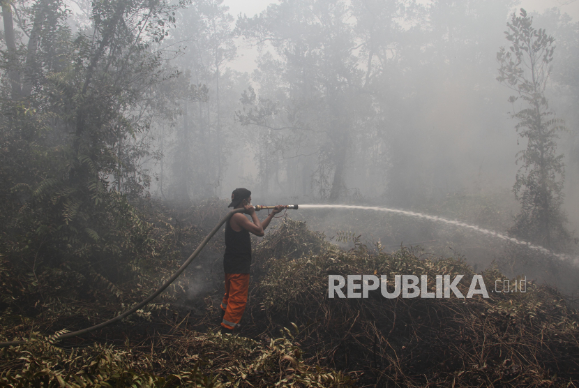 Provinsi Jambi mencatat kebakaran hutan dan lahan (karhutla) mencapai 550,33 hektare.