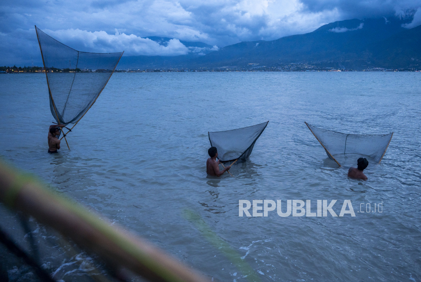 Sejumlah nelayan menjaring udang kecil atau rebon di Pantai Teluk Palu, Sulawesi Tengah, Senin (29/3/2021). Nelayan di sekitar teluk itu turun ke laut saat air pasang karena dimulainya musim rebon di bibir pantai. 