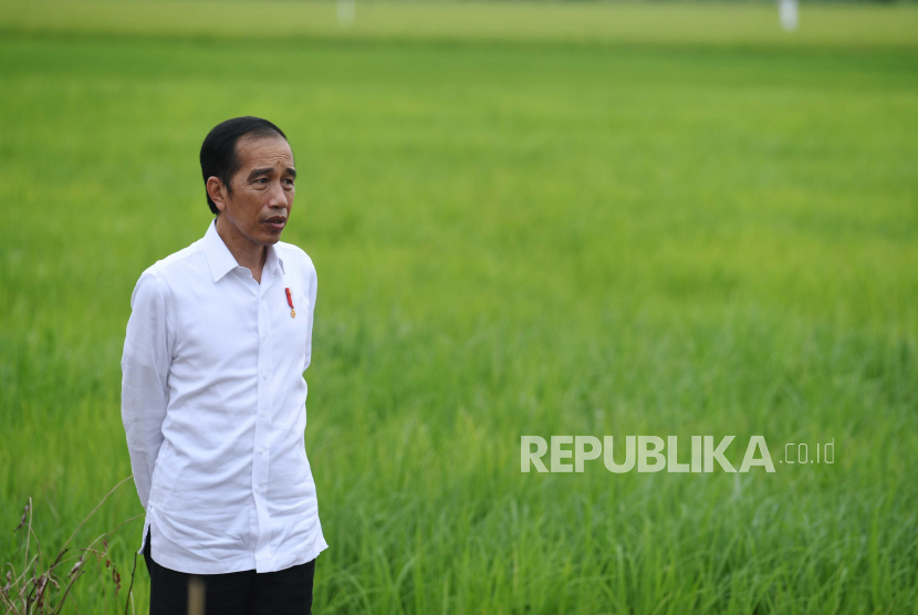 Presiden Joko Widodo meninjau lahan yang akan dijadikan Food Estate atau lumbung pangan baru di Kapuas, Kalimantan Tengah, Kamis (9/7/2020). Pemerintah menyiapkan lumbung pangan nasional untuk mengantisipasi krisis pangan dunia.