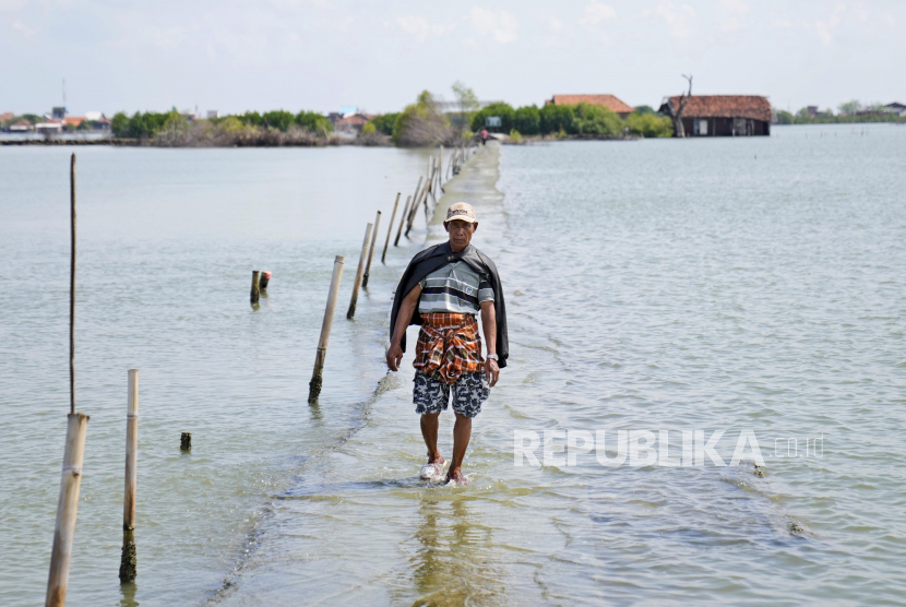  Seorang pria berjalan di jalur yang sebagian terendam akibat naiknya permukaan air laut di desa Sidogemah, Jawa Tengah, Ahad (7/11/2021). IPCC memperhitungkan, sejak tahun 1990 permukaan laut meningkat 2 milimeter setiap tahunnya.