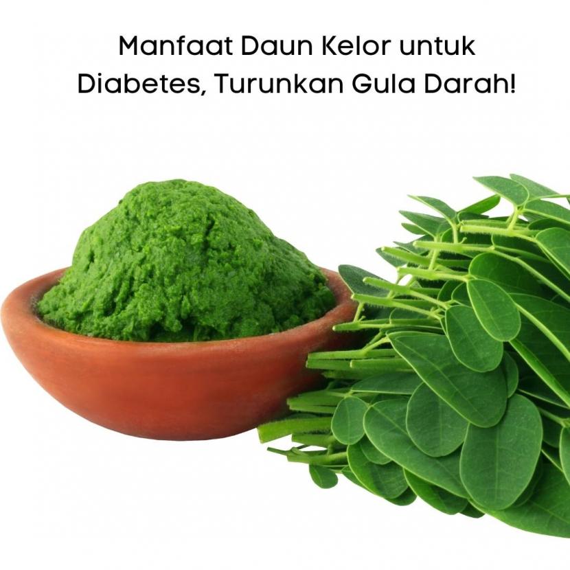 Manfaat Daun Kelor