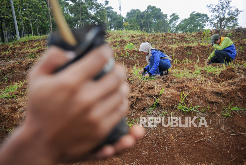 Sejumlah mahasiswa Universitas Winaya Mukti dan Komunitas Pohon Indonesia menanam pohon di lahan kritis di Cimenyan, Kabupaten Bandung, Jawa Barat, Jumat (10/12/2021). 