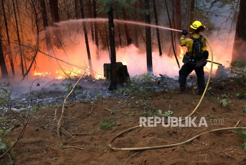 Petugas memadamkan api di Park Fire, California, Amerika Serikat, 28 Juli 2024.