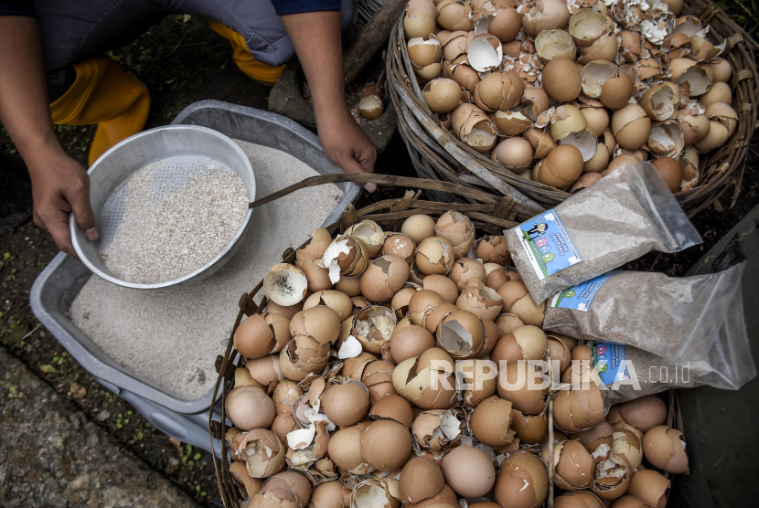 Cangkang telur (ilustrasi). Dalam membran cangkang telur terdapat beberapa komponen pembentuk produk kosmetik seperti asam hialuronat, protein, asam amino, dan kolagen.