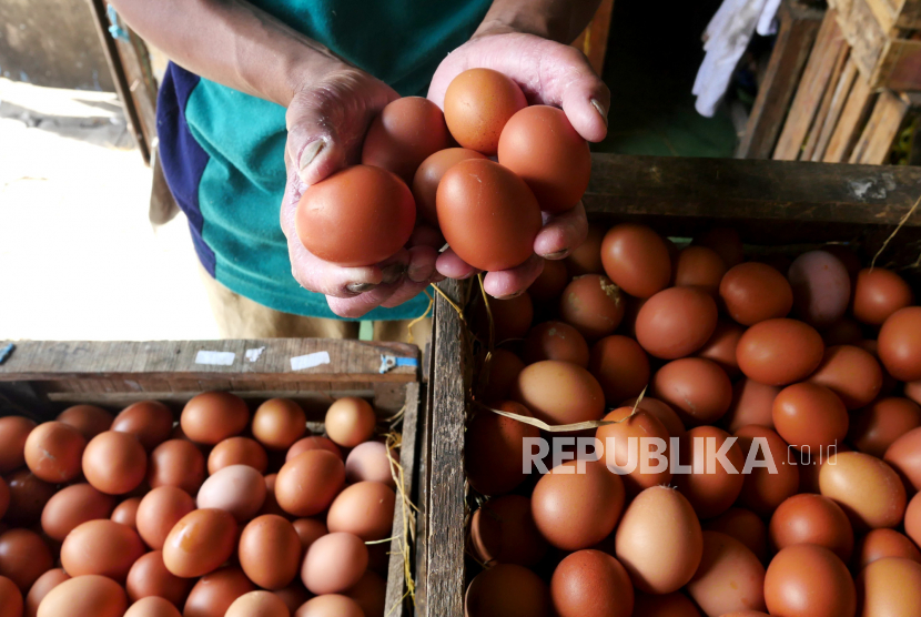 Pedagang menata telur ayam, pekan lalu. Harga bahan pokok, seperti telur ayam, di Jember, Jawa Timur, mulai merangkak naik.