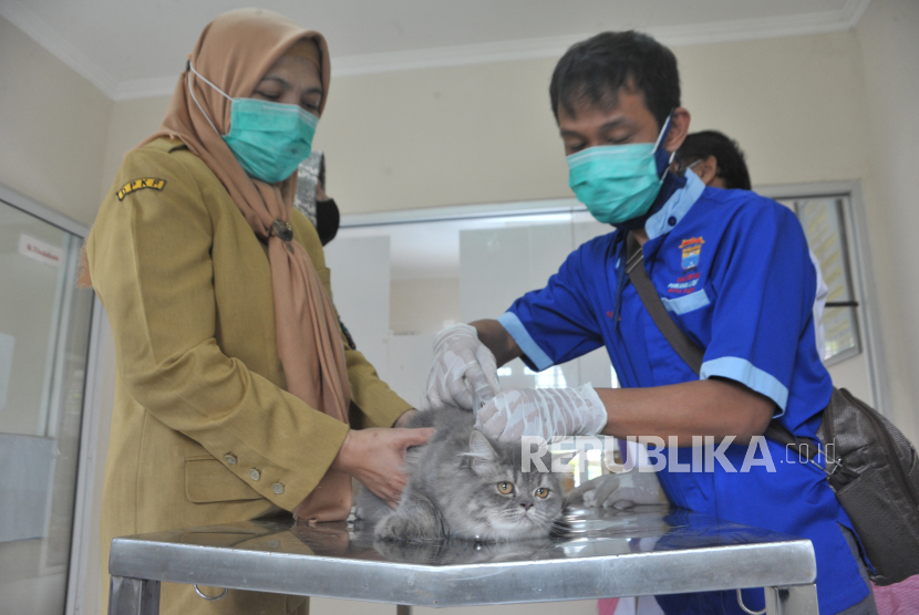 Petugas kesehatan hewan (Puskeswan) menyuntikkan vaksin rabies secara gratis kepada hewan peliharaan milik warga dalam rangka Hari Rabies Sedunia di Puskeswan Gandus, Palembang, Sumatera Selatan, Senin (28/9/2020). Pemerintah Kota Palembang memberikan ribuan vaksin gratis di Puskeswan dan disebar ke seluruh klinik hewan untuk mengantisipasi penyakit rabies di Kota Palembang. 