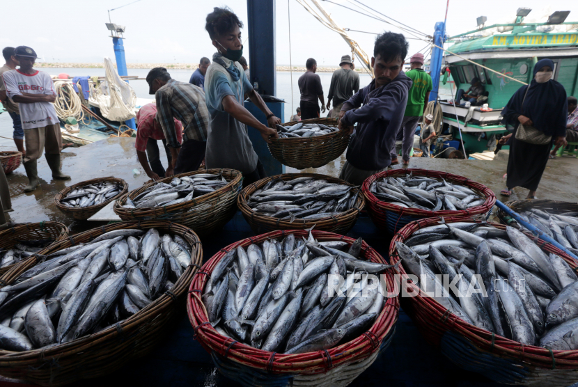 Nelayan membongkar muat ikan tongkol hasil tangkapan di Pelabuhan Pendaratan Ikan (PPI) Samudera, Banda Aceh, Aceh, Sabtu (11/4/2020). Menurut nelayan sejak dua pekan terakhir harga ikan turun drastis dari Rp350 ribu per keranjang isi 30 kilogram menjadi Rp150 ribu per kilogram akibat minimnya permintaan pasar dan melimpahnya hasil tangkapan