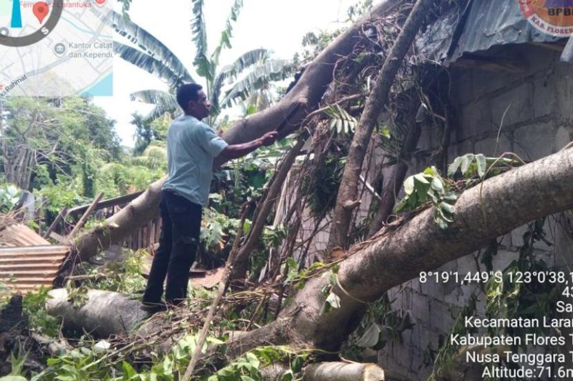 Cuaca Ekstrem Rusak 16 Rumah di Flores Timur