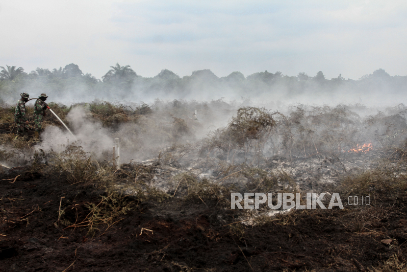 Petugas TNI menyemprotkan air untuk memadamkan kebakaran lahan gambut di Desa Rimbo Panjang, Kabupaten Kampar, Riau. BPBD Riau sebut kebakaran hutan lahan di wilayah itu selama 2013 sudah 16 hektare.
