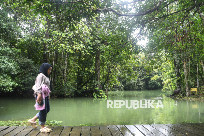 Pengunjung berjalan di jembatan Danau Nyadeng, Kampung Merabu, Kecamatan Kelay, Kabupaten Berau, Kalimantan Timur, Sabtu (6/9/2025). Danau Nyadeng merupakan ekowisata yang berada di kawasan Geosite Sangkulirang Mangkalihat dengan kemunculan mata air di tepi karst bertipe kontak (antara batu gamping dengan batuan lainnya) dengan kedalaman lebih dari 60 meter menjadi pilihan wisatawan nusantara dan asing dalam menikmati wisata alam. 