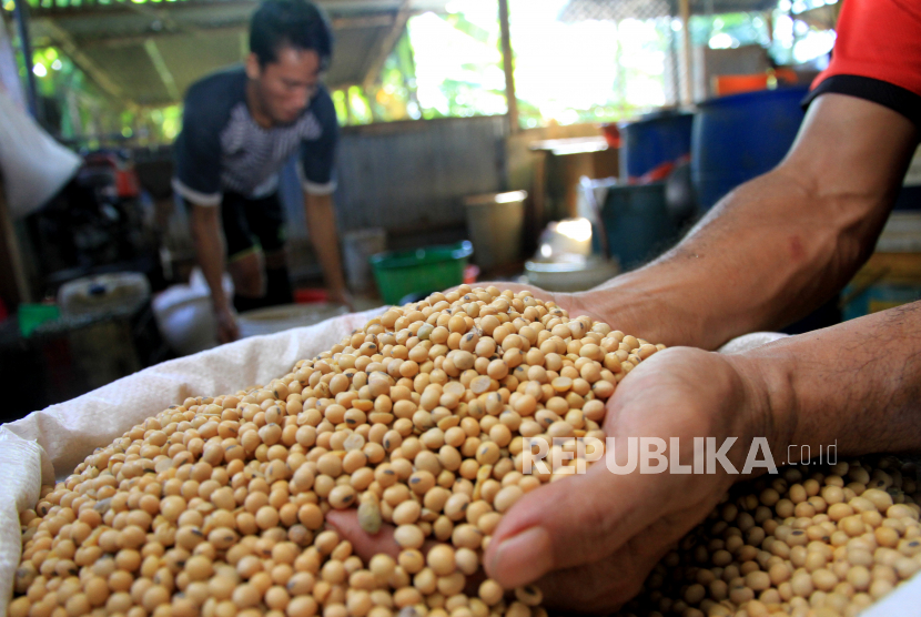 Pekerja membersihkan bahan baku kacang kedelai untuk pembuatan tahu, di Desa Lapang, Kecamatan Johan Pahlawan, Aceh Barat, Aceh (ilustrasi). Kedelai lokal disebut lebih disukai perajin karena menghasilkan produk dengan aroma khas.