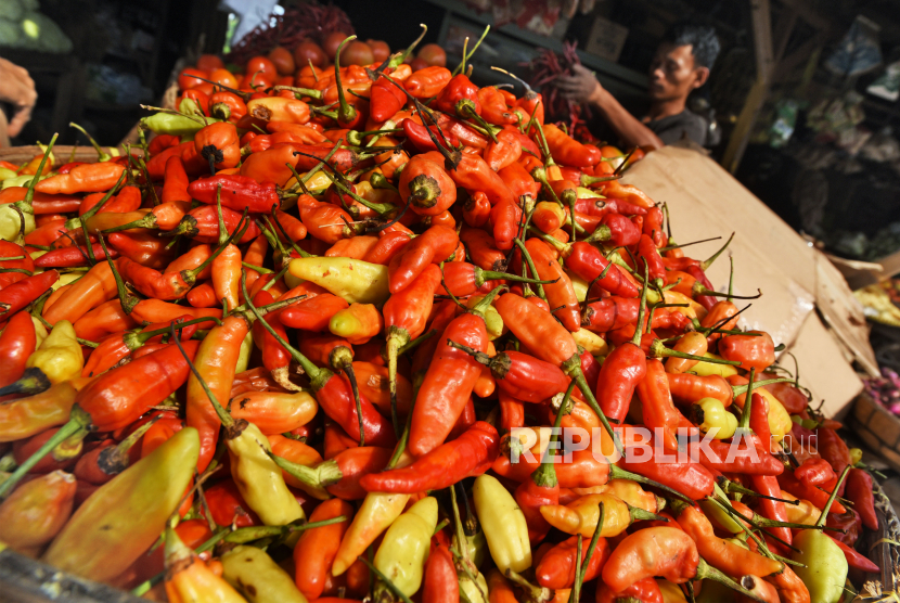 Pedagang sayur menyortir cabai rawit  merah di pasar tradisional (ilustrasi).