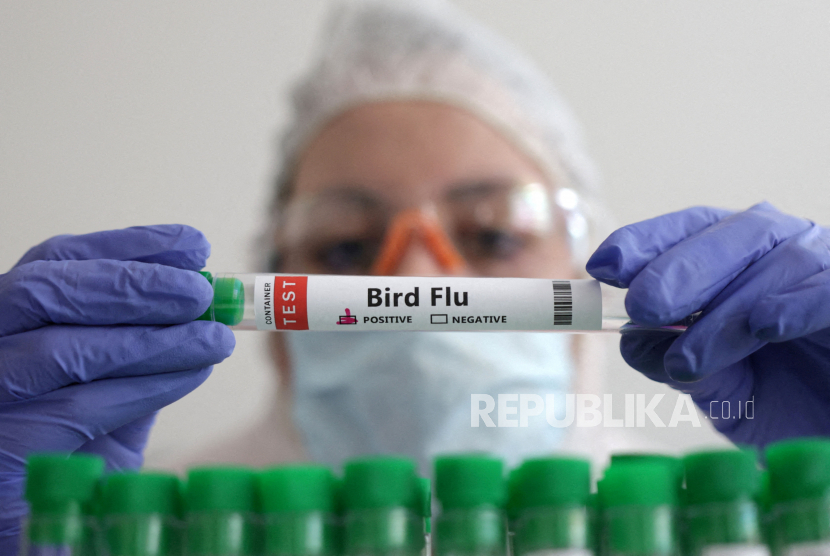 Petugas kesehatan memegang tabung berisi sampel uji berlabel Flu Burung (Ilustrasi). Msyarakat diserukan untuk waspada terhadap penularan flu burung.