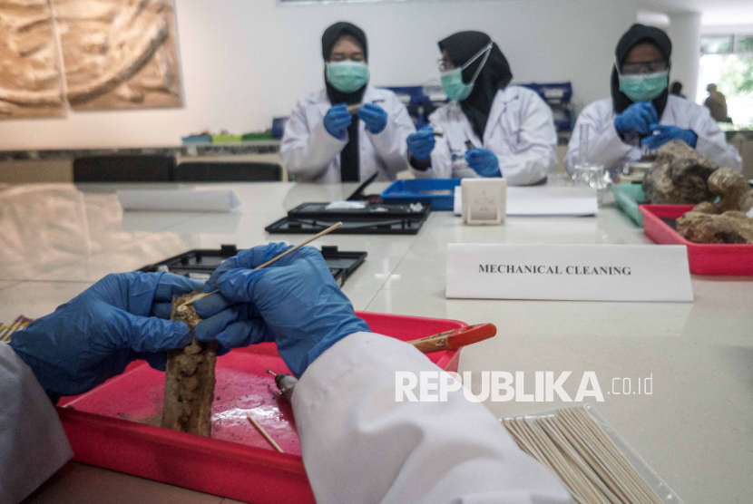 Melihat Konservasi Fosil dan Benda Purbakala di Museum Manusia Purba Klaster Bukuran