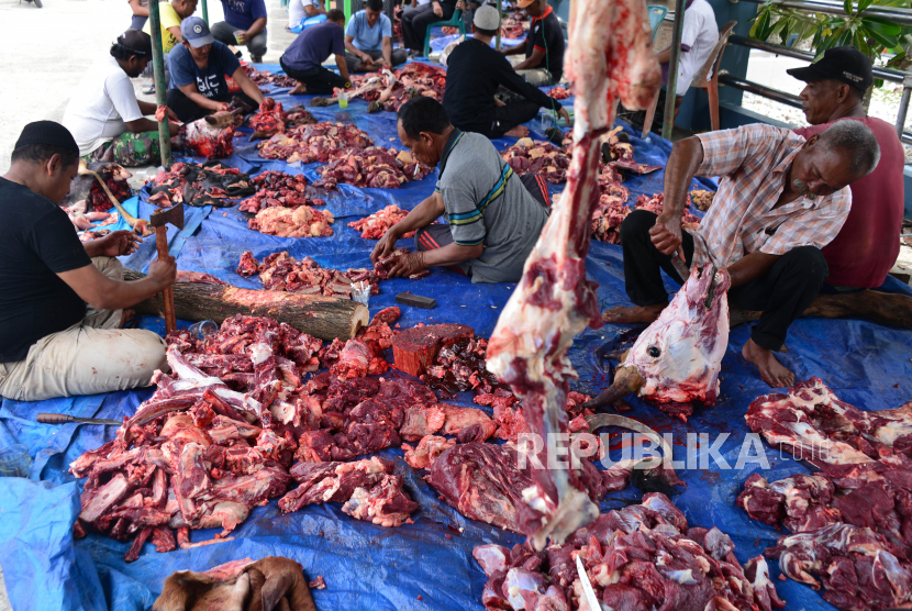 Dokter: Orang dengan Penyakit Kronis Batasi Daging Berlemak. Panitia kurban memotong daging ternak sapi seusai penyembelihan pada hari Raya Idul Adha 1442 Hijriah di Desa Deah Tengoh, Kecamatan Meuraxa, Banda Aceh, Aceh, Selasa (20/7/2021). Pembagian daging kurban di daerah itu menerapkan layanan antar langsung ke rumah warga untuk menghindari kerumunan dalam upaya mencegah penyebaran COVID-19. 