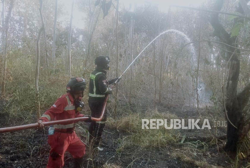 Petugas menangani kebakaran lahan kebun di wilayah Desa Cieurih, Kecamatan Cidahu, Kabupaten Kuningan, Jawa Barat, Kamis (21/9/2023). 