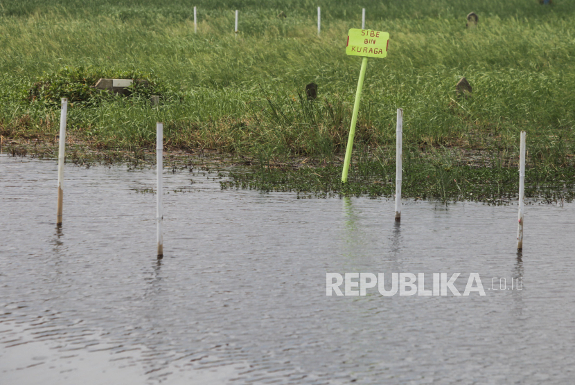 Papan penanda makam yang terendam banjir di TPU Semper, Cilincing, Jakarta Utara. Badan Penanggulangan Bencana Daerah (BPBD) Provinsi DKI Jakarta mencatat sejumlah ruas jalan di wilayah Jakarta Utara 